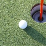 【9項目で比較】ライザップゴルフとチキンゴルフはどっちがいい?